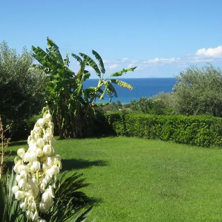 With Swimming Pool&garden Villa